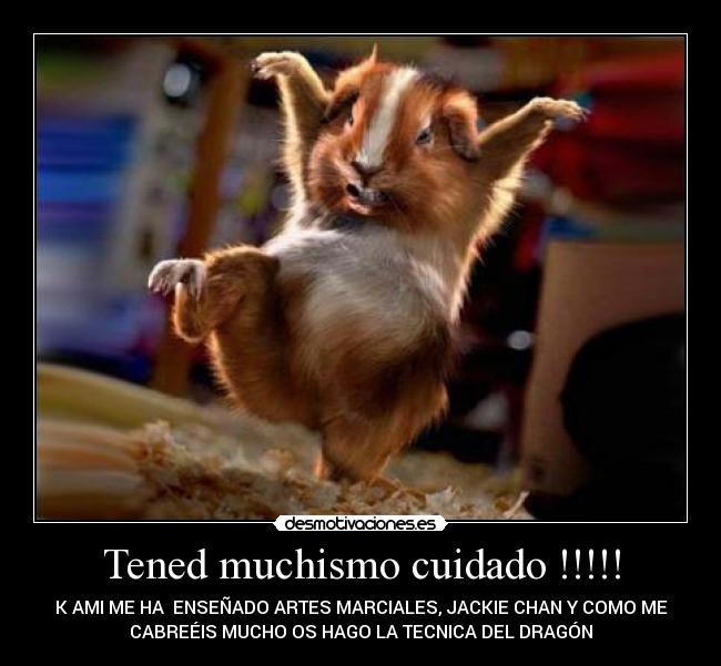 Tened muchismo cuidado !!!!! - 