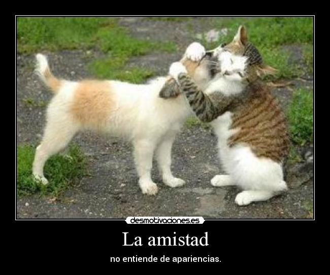 La amistad - no entiende de apariencias.