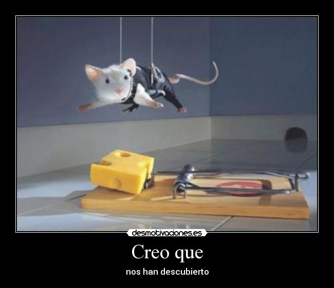 Creo que - nos han descubierto