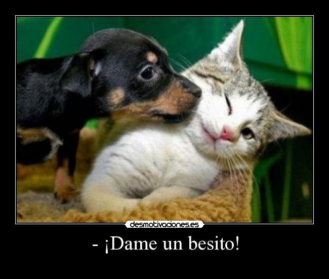 carteles dame besito desmotivaciones