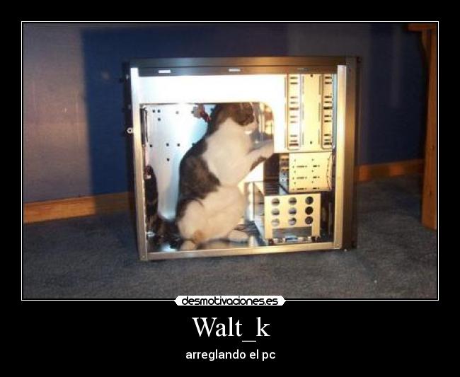 Walt_k -
