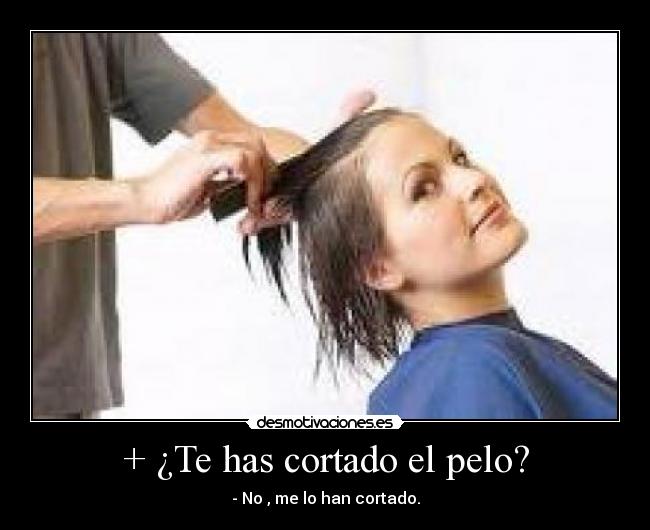 + ¿Te has cortado el pelo? - 