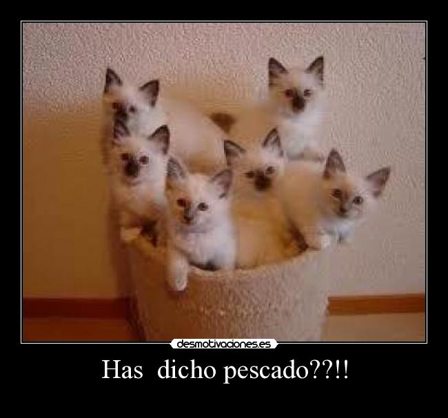 Has  dicho pescado??!! - 