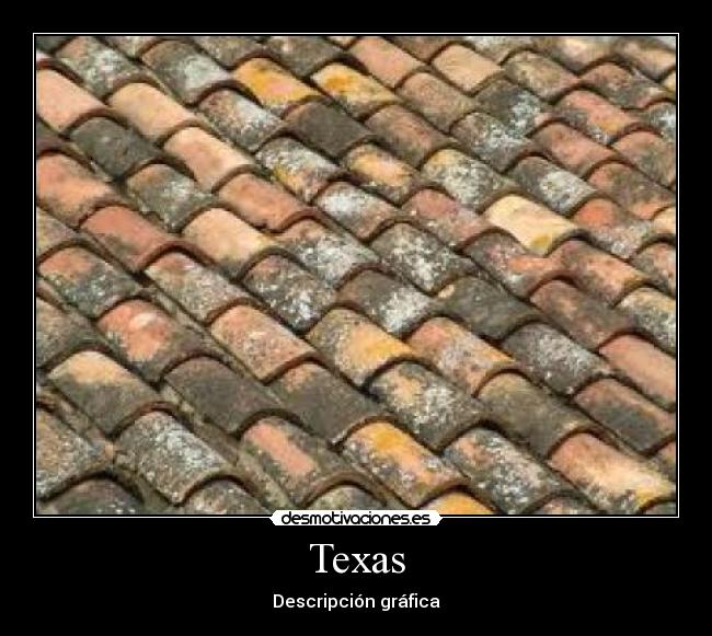 Texas - Descripción gráfica