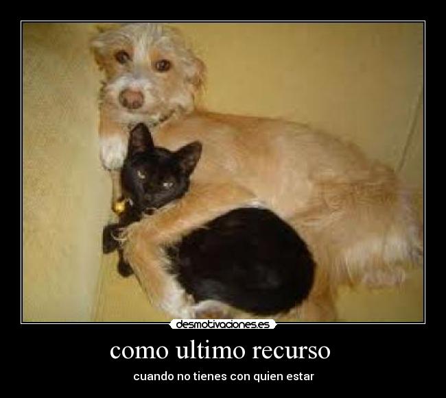 como ultimo recurso  - 