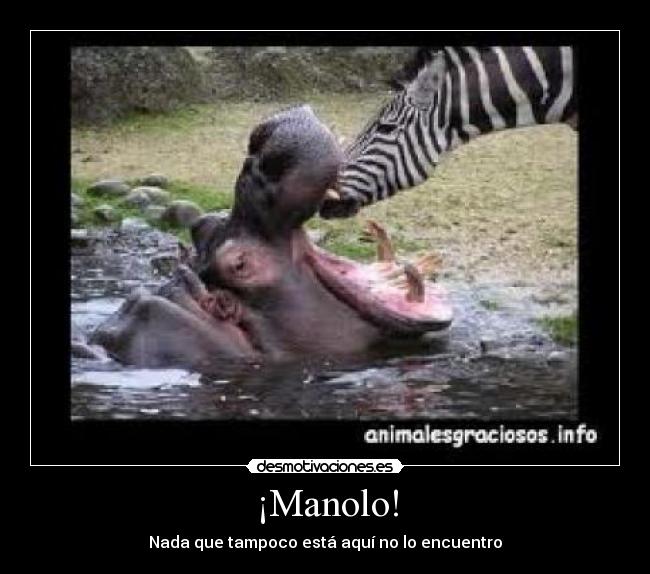 ¡Manolo! - 