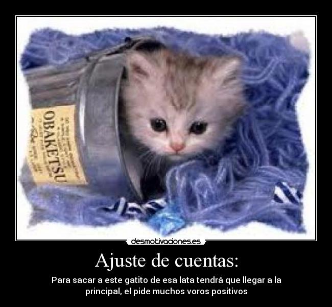 Ajuste de cuentas: - Para sacar a este gatito de esa lata tendrá que llegar a la
principal, el pide muchos voros positivos