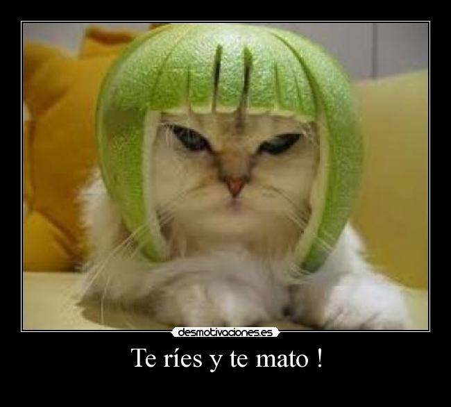 Te ríes y te mato ! - 