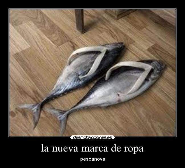 carteles peces desmotivaciones