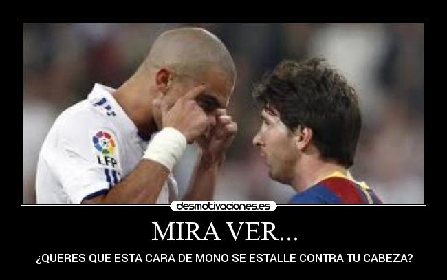 MIRA VER... - ¿QUERES QUE ESTA CARA DE MONO SE ESTALLE CONTRA TU CABEZA?