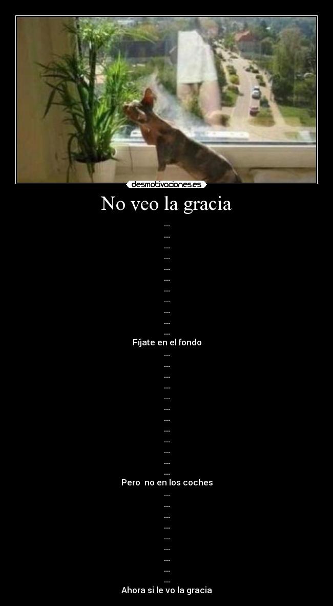 No veo la gracia - 