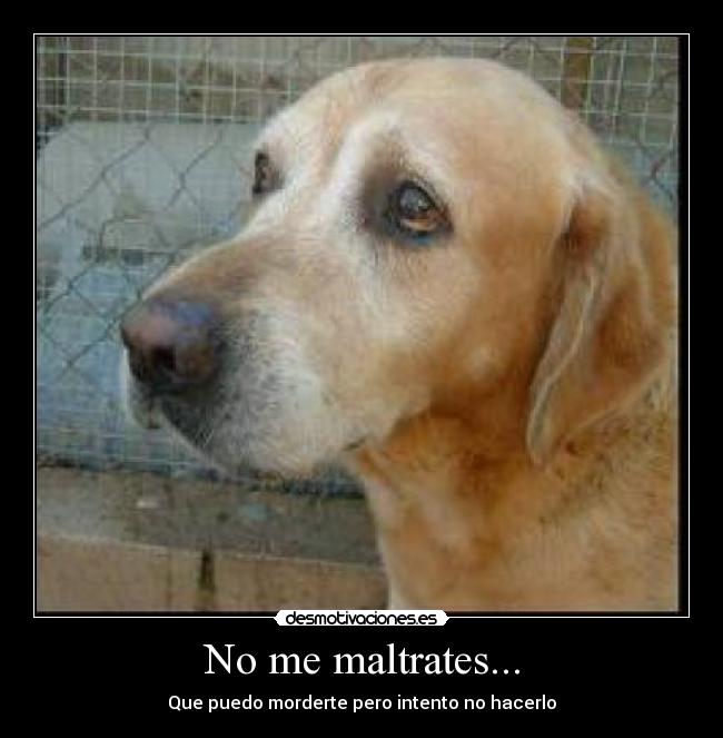 No me maltrates... -