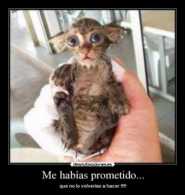 Me habías prometido... - 