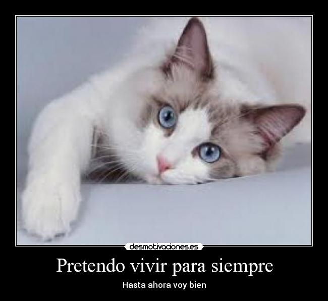 Pretendo vivir para siempre - Hasta ahora voy bien