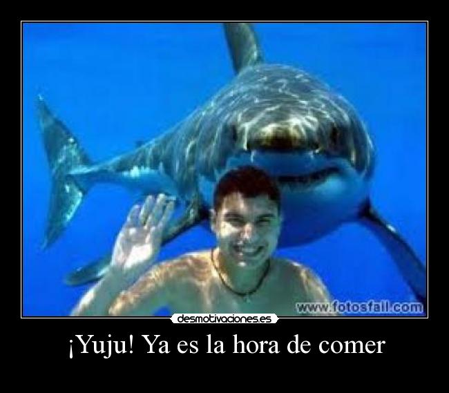 carteles dannyesku99 desmotivaciones