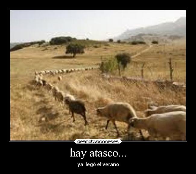 hay atasco... - 