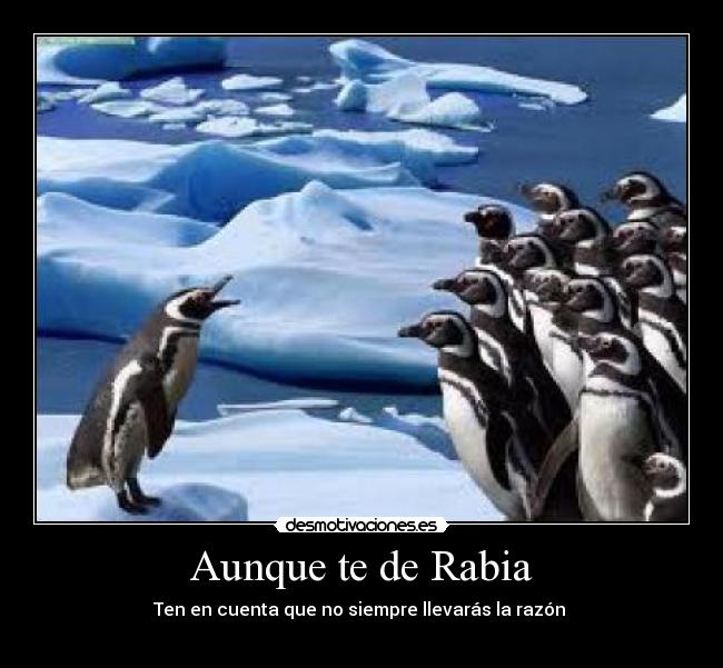Aunque te de Rabia -
