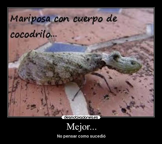 Mejor... - No pensar como sucedió