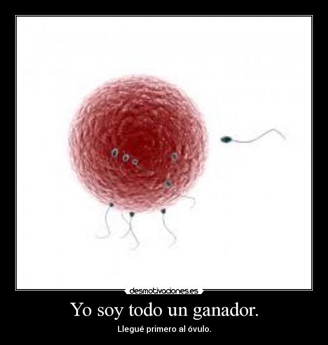 carteles espermatozoide ganar ovulo bebe cuidar crecer reproducirse sexo desmotivaciones