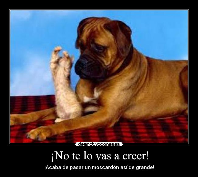 ¡No te lo vas a creer! -