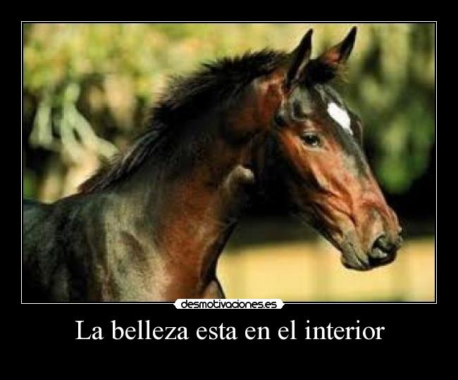 La belleza esta en el interior - 