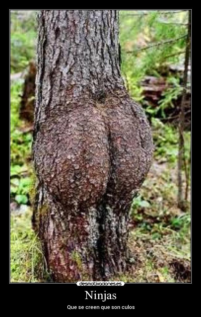 Ninjas - Que se creen que son culos