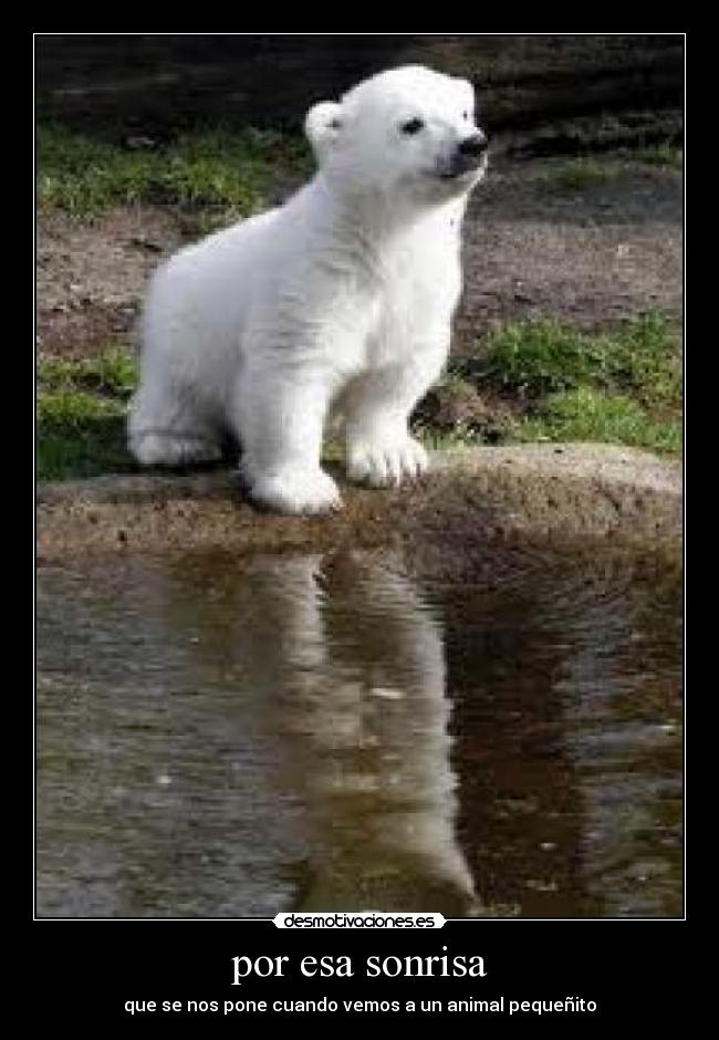 por esa sonrisa -