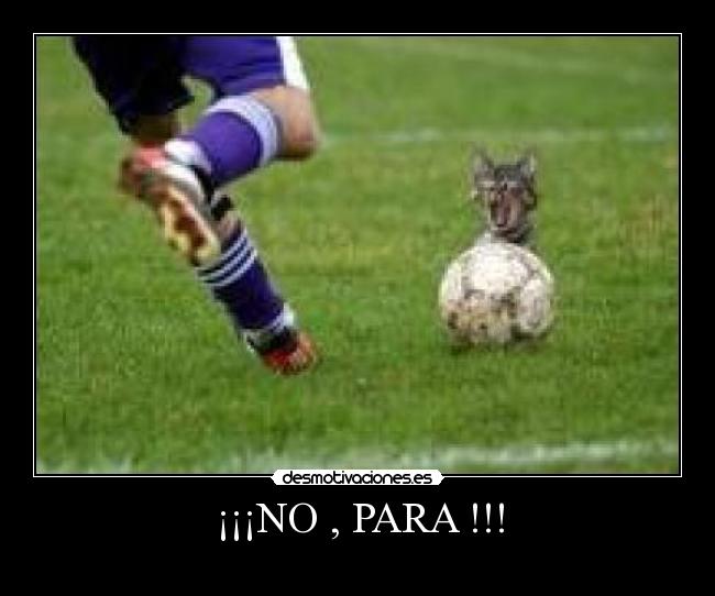 ¡¡¡NO , PARA !!! -