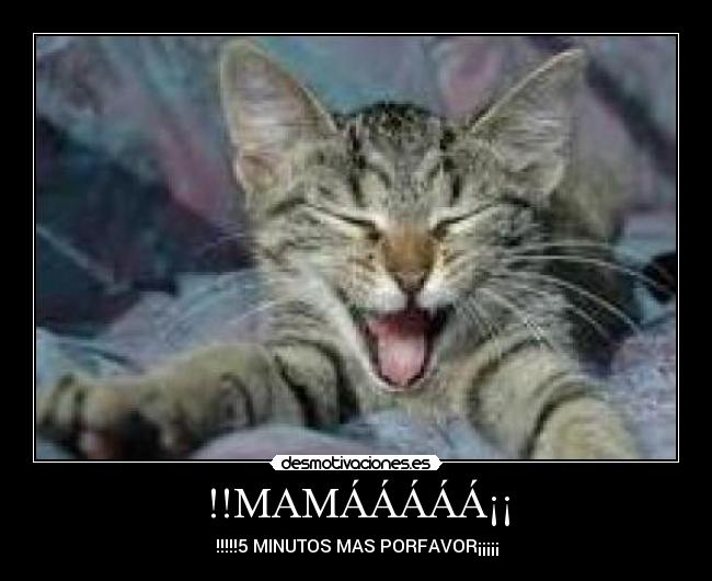 !!MAMÁÁÁÁÁ¡¡ -