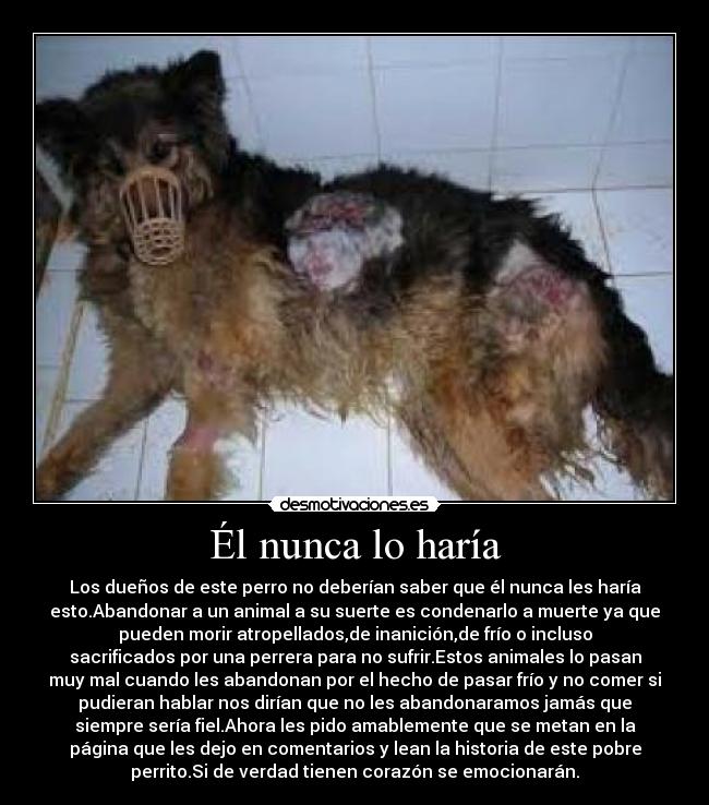 Él nunca lo haría - 