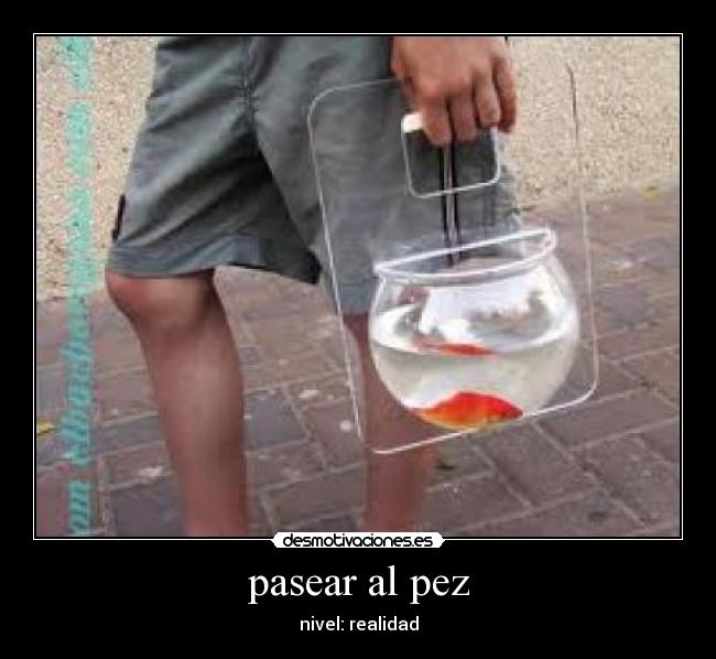 pasear al pez - nivel: realidad
