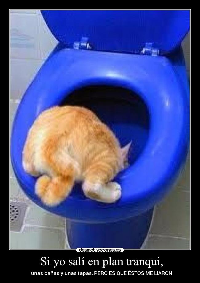 Si yo salí en plan tranqui, - unas cañas y unas tapas, PERO ES QUE ÉSTOS ME LIARON