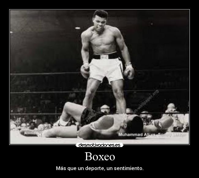 Boxeo -