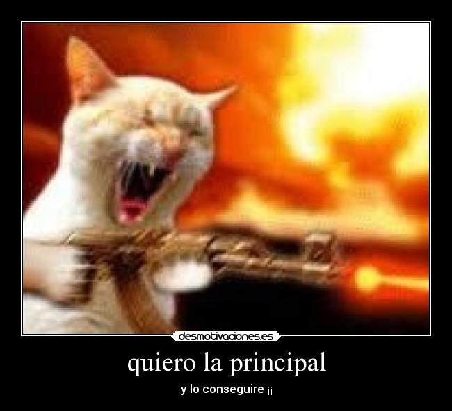 quiero la principal -