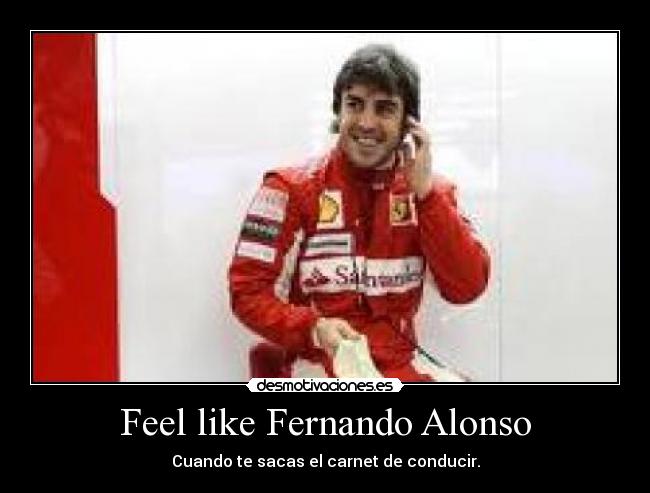 Feel like Fernando Alonso - 