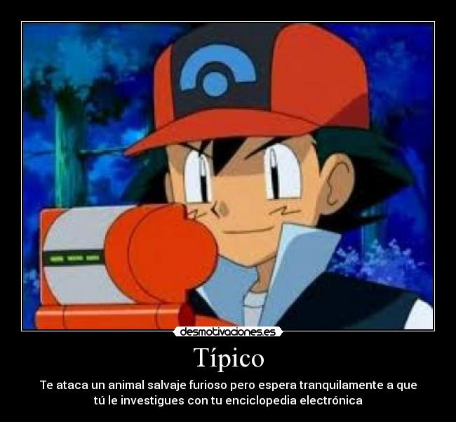 Típico - 