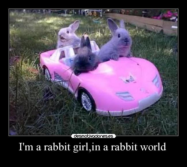 carteles kjm desmotivaciones