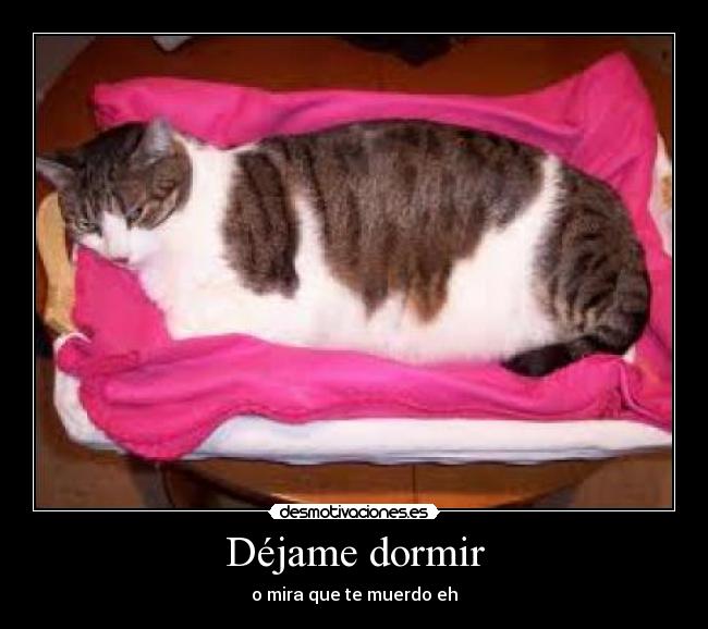 Déjame dormir - o mira que te muerdo eh