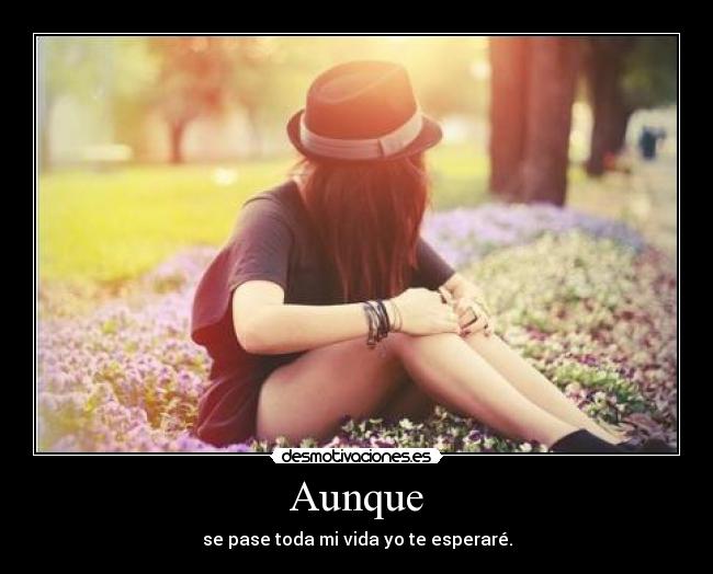 Aunque - se pase toda mi vida yo te esperaré.