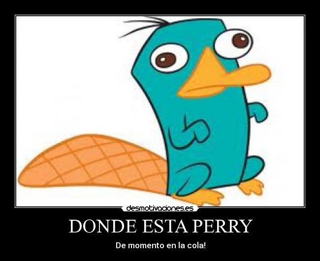 DONDE ESTA PERRY - De momento en la cola!