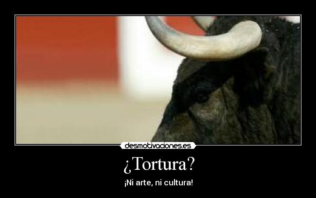 ¿Tortura? -
