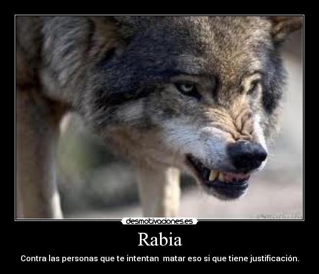 Rabia - Contra las personas que te intentan  matar eso si que tiene justificación.