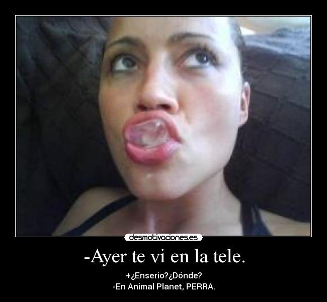 -Ayer te vi en la tele. - +¿Enserio?¿Dónde?
-En Animal Planet, PERRA.