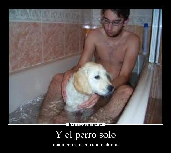 Y el perro solo - quiso entrar si entraba el dueño