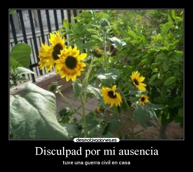 Disculpad por mi ausencia - tuve una guerra civil en casa