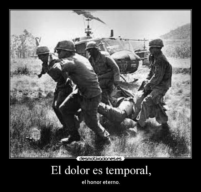 carteles dolor zorra implacable desmotivaciones