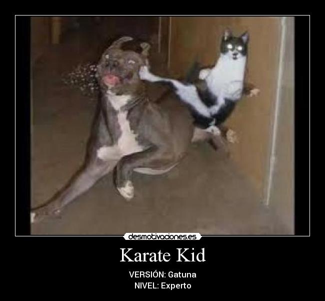 Karate Kid -