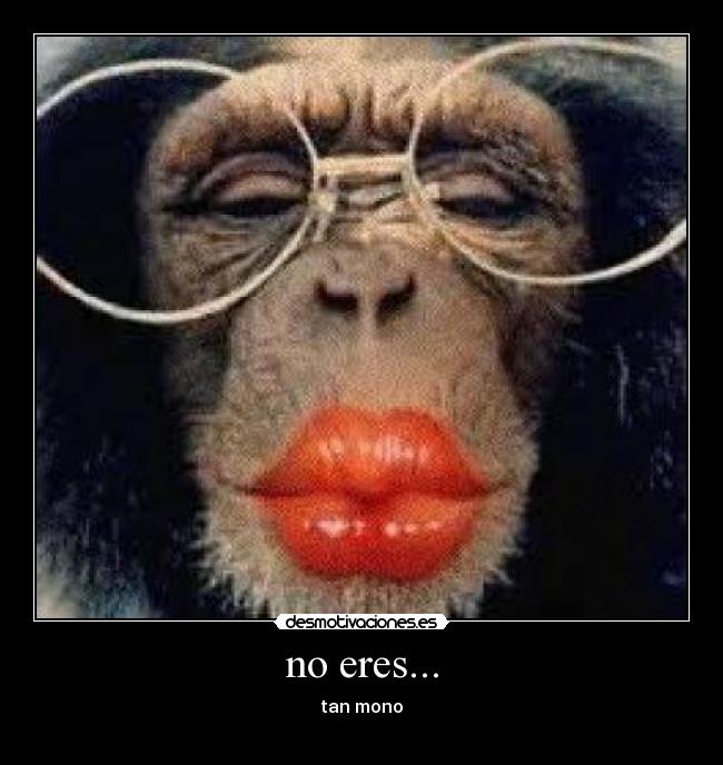 no eres... -