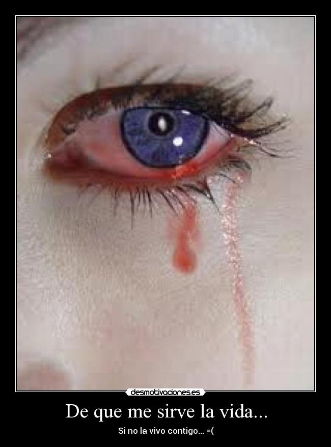 carteles vida elena desmotivaciones