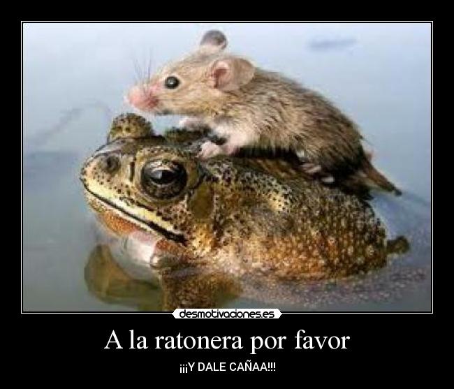 A la ratonera por favor - ¡¡¡Y DALE CAÑAA!!!